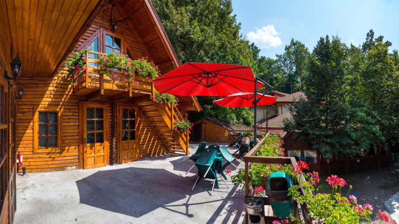 Pensiunea Casa Verde Bucuresti المظهر الخارجي الصورة